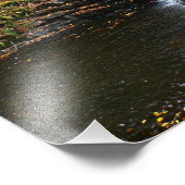 Wasserfall am Laurel Hill Staat Park II Fotodruck (Ecke)