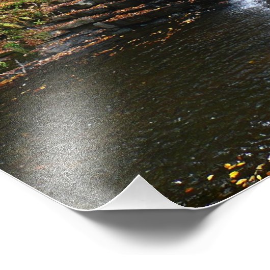 Wasserfall am Laurel Hill Staat Park II Fotodruck (Ecke)