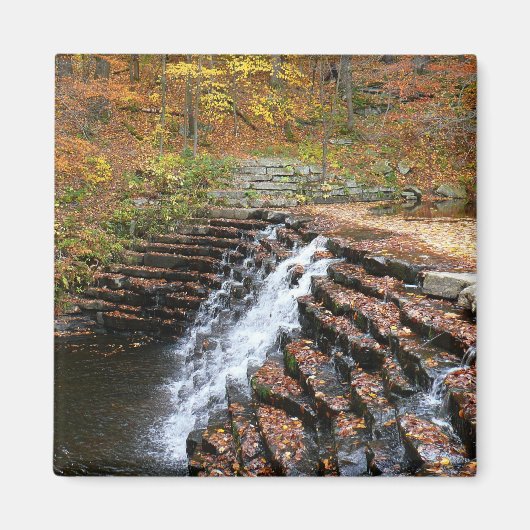 Wasserfall am Laurel Hill Staat Park II Magnet (Vorne)
