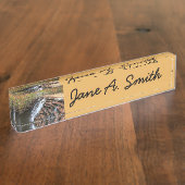 Wasserfall am Laurel Hill Staat Park II Namensplakette (Seite)