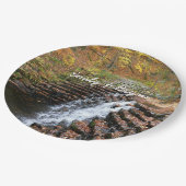 Wasserfall am Laurel Hill Staat Park II Pappteller (Schrägansicht)