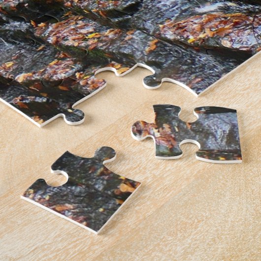 Wasserfall am Laurel Hill Staat Park II Puzzle (Seite)