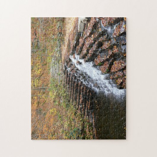 Wasserfall am Laurel Hill Staat Park II Puzzle (Vertikal)