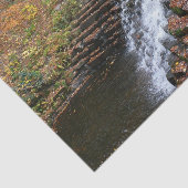 Wasserfall am Laurel Hill Staat Park II Seidenpapier (Ausschnitt)