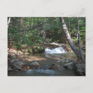Wasserfall am Pemigewasset River II Postkarte