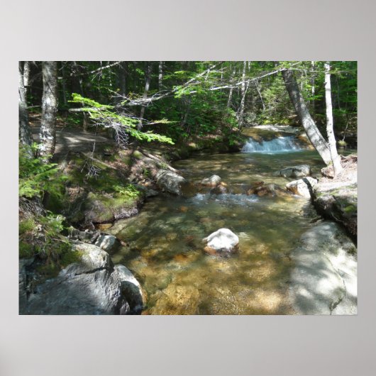 Wasserfall am Pemigewasset River III Poster (Vorne)