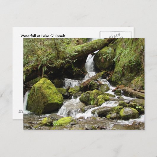 Wasserfall am Quinault-See Postkarte (Vorne/Hinten)