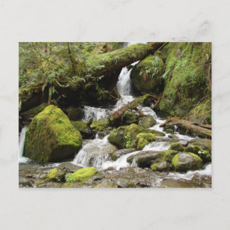 Wasserfall am Quinault-See Postkarte