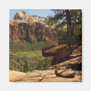 Wasserfall an den Emerald Pools im Zion National P Magnet
