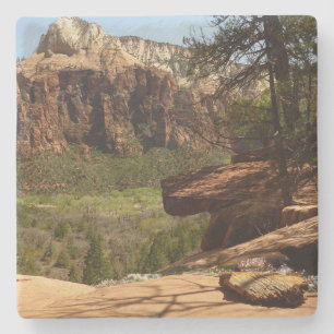 Wasserfall an den Emerald Pools im Zion National P Steinuntersetzer