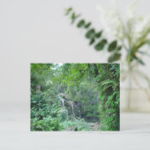 Wasserfall auf dem Weg zur Postkarte von Hana (Stehend Vorderseite)