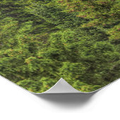 Wasserfall auf den Felsen Poster (Ecke)