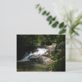 Wasserfall auf den Pemigewasset Postkarte (Stehend Vorderseite)