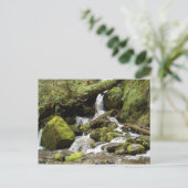 Wasserfall auf der South Shore Road am Lake Quinau Postkarte (Stehend Vorderseite)