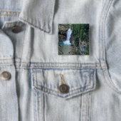 Wasserfall auf Falls Creek in Lewis und Clark Button (Beispiel)