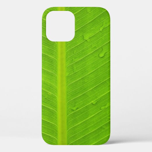 Wasserfall aus grünem Leinen Case-Mate iPhone Hülle (Rückseite)