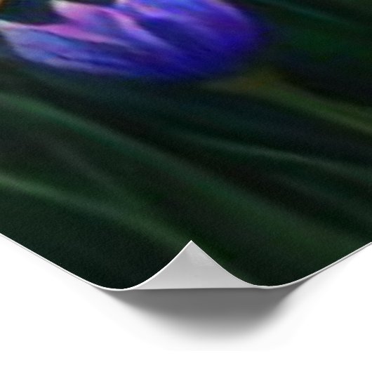 *~ Wasserfall Beautifu AP56 Frauen-Teich-Blume Poster (Ecke)