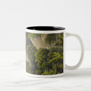 Wasserfall bei Shanklin, 'von der Insel des Zweifarbige Tasse