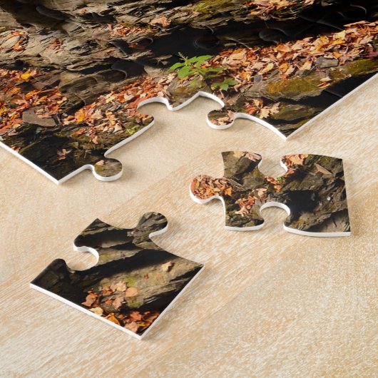 Wasserfall bei Watkins Glen in Finger Lakes Puzzle (Seite)