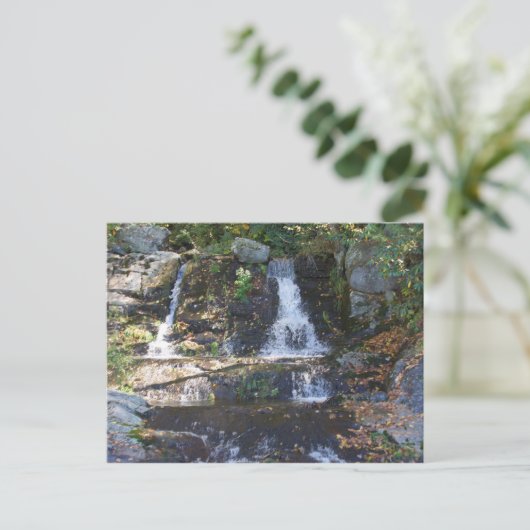 Wasserfall Bobby McLean Memorial Park, Newland, NC Postkarte (Stehend Vorderseite)