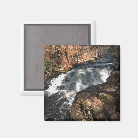 Wasserfall - Bushkill Falls Magnet (Vorderseite/Rückseite)