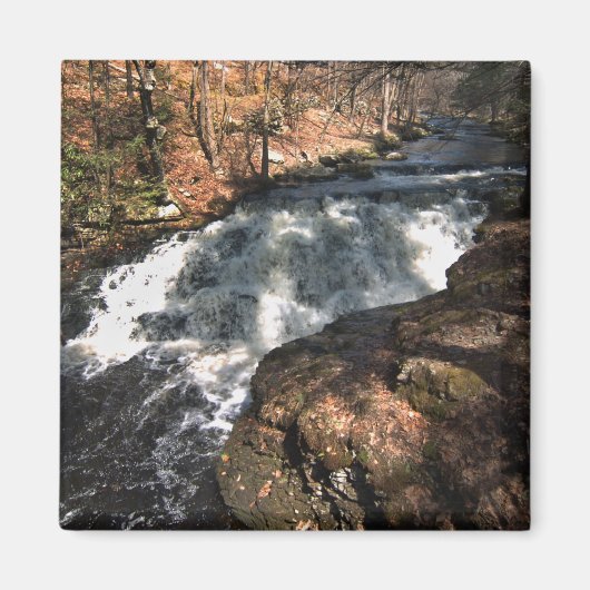 Wasserfall - Bushkill Falls Magnet (Vorne)