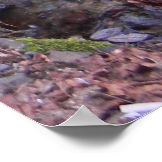 Wasserfall der Fee...... Poster (Ecke)