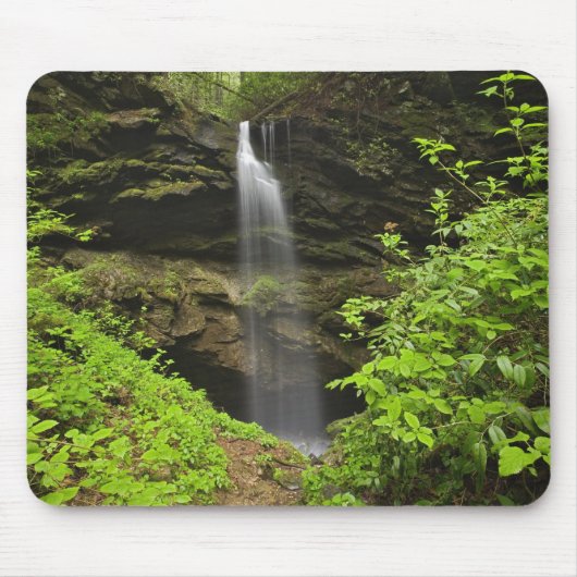Wasserfall, der in eine Senke fällt, Whiteoak Sink Mousepad (Vorne)