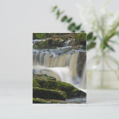 Wasserfall der Muscheln Postkarte (Stehend Vorderseite)