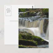Wasserfall der Muscheln Postkarte (Vorne/Hinten)
