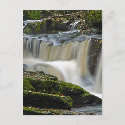 Wasserfall der Muscheln Postkarte (Vorderseite)