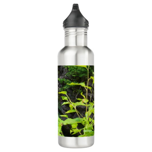 Wasserfall des Hell's Gate Canyon Edelstahlflasche (Rechts)