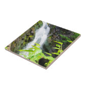 Wasserfall des Hell's Gate Canyon Fliese (Seite)