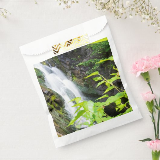 Wasserfall des Hell's Gate Canyon Geschenktütchen (Versiegelt)
