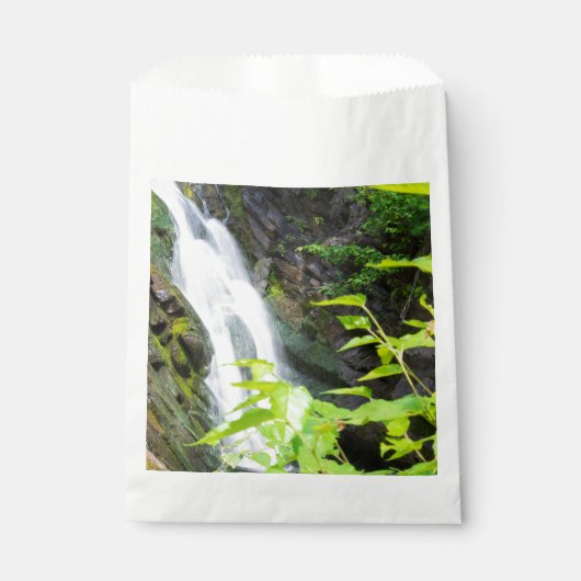 Wasserfall des Hell's Gate Canyon Geschenktütchen (Vorderseite)