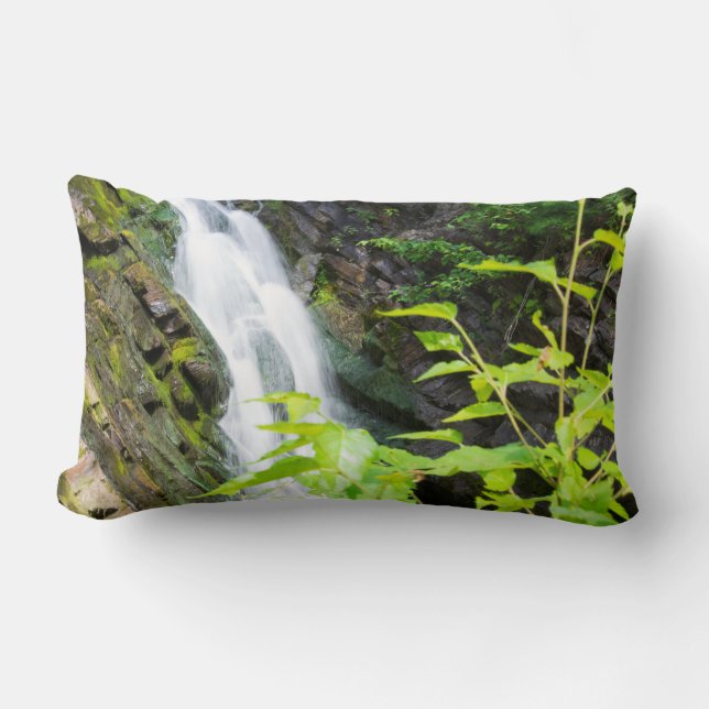 Wasserfall des Hell's Gate Canyon Lendenkissen (Vorderseite)