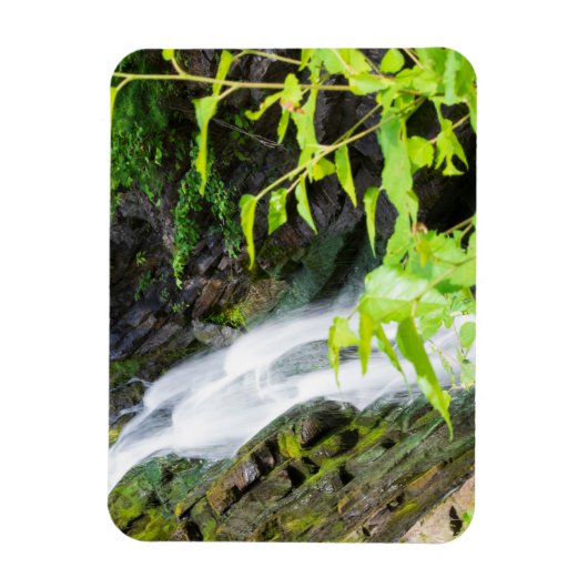 Wasserfall des Hell's Gate Canyon Magnet (Vertikal)