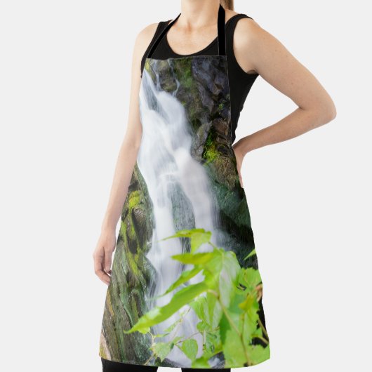 Wasserfall des Hell's Gate Canyon Schürze (InSitu)