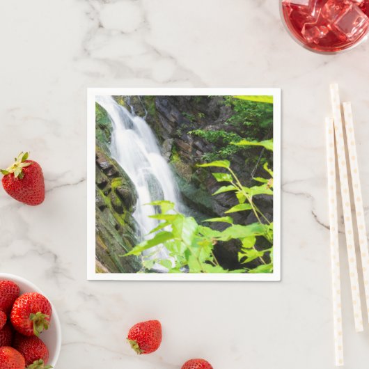 Wasserfall des Hell's Gate Canyon Serviette (Beispiel)