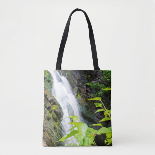 Wasserfall des Hell's Gate Canyon Tasche (Vorderseite)
