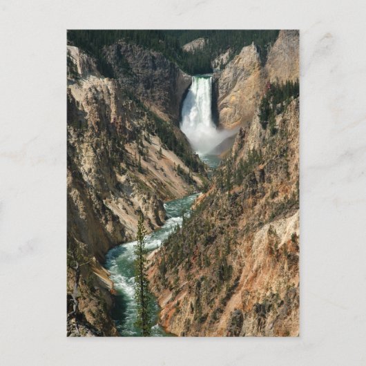 Wasserfall des Yellowstone Postkarte (Vorderseite)