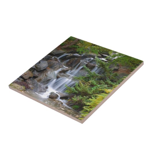 Wasserfall Fliese (Seite)