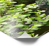 WASSERFALL FOTODRUCK (Ecke)