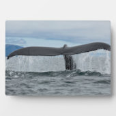 Wasserfall Fotoplatte (Vorderseite)