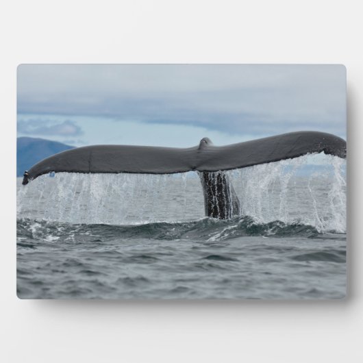 Wasserfall Fotoplatte (Vorderseite)