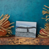 Wasserfall Fotoplatte (Seite)