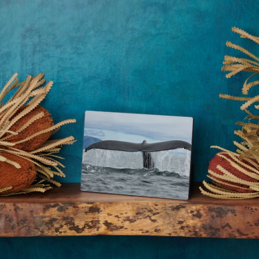 Wasserfall Fotoplatte (Seite)