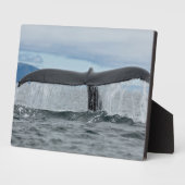 Wasserfall Fotoplatte (Seite)