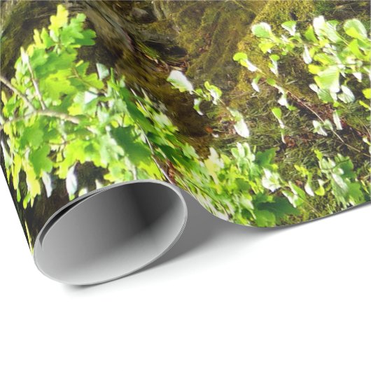 WASSERFALL GESCHENKPAPIER (Rolleneckpunkt)