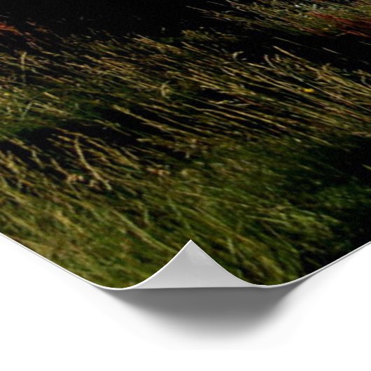 Wasserfall Gullfoss im Sommer Poster (Ecke)